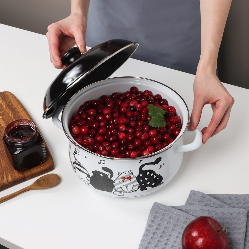 VETTA Хвостатые друзья Кастрюля эмалированная, 24см, 5,0л, индукция - #10