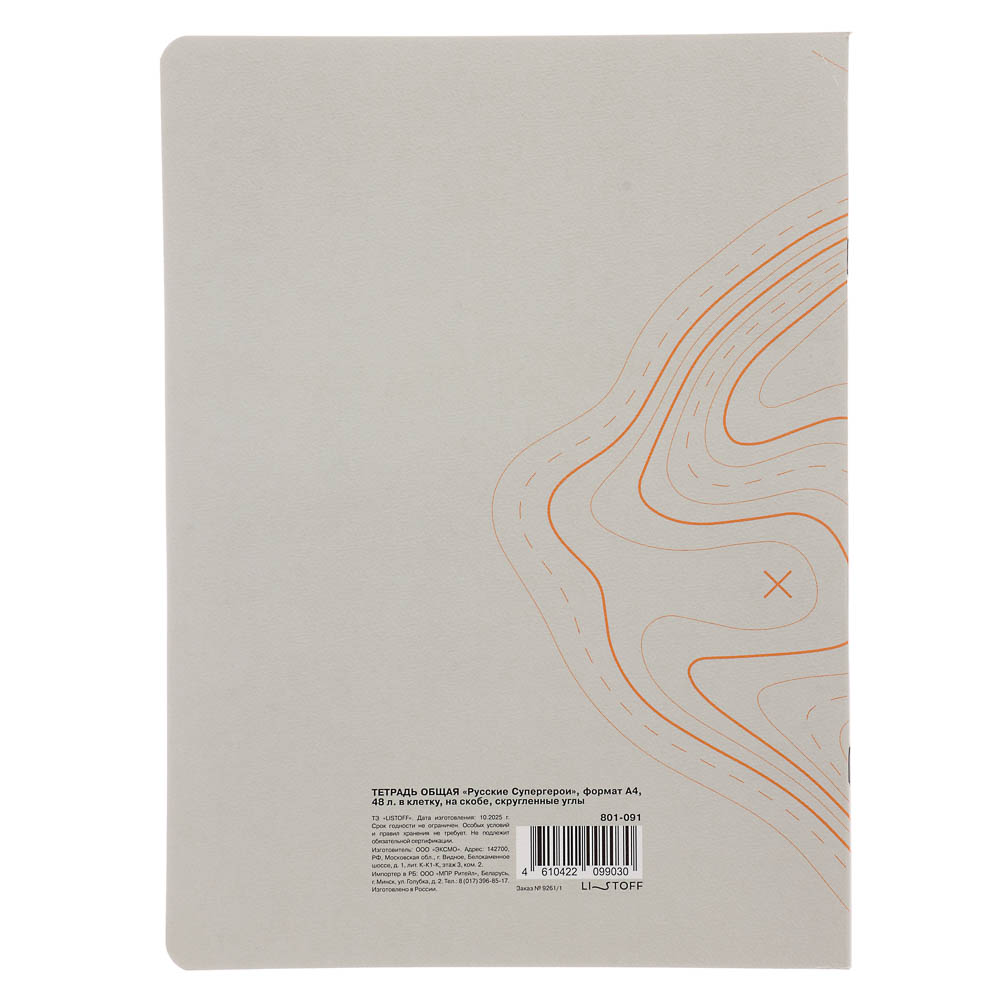 Тетрадь общая Русские Супергерои, формат А4, 48л. в клетку, на скобе, скругленные углы, в ассортим. - #17