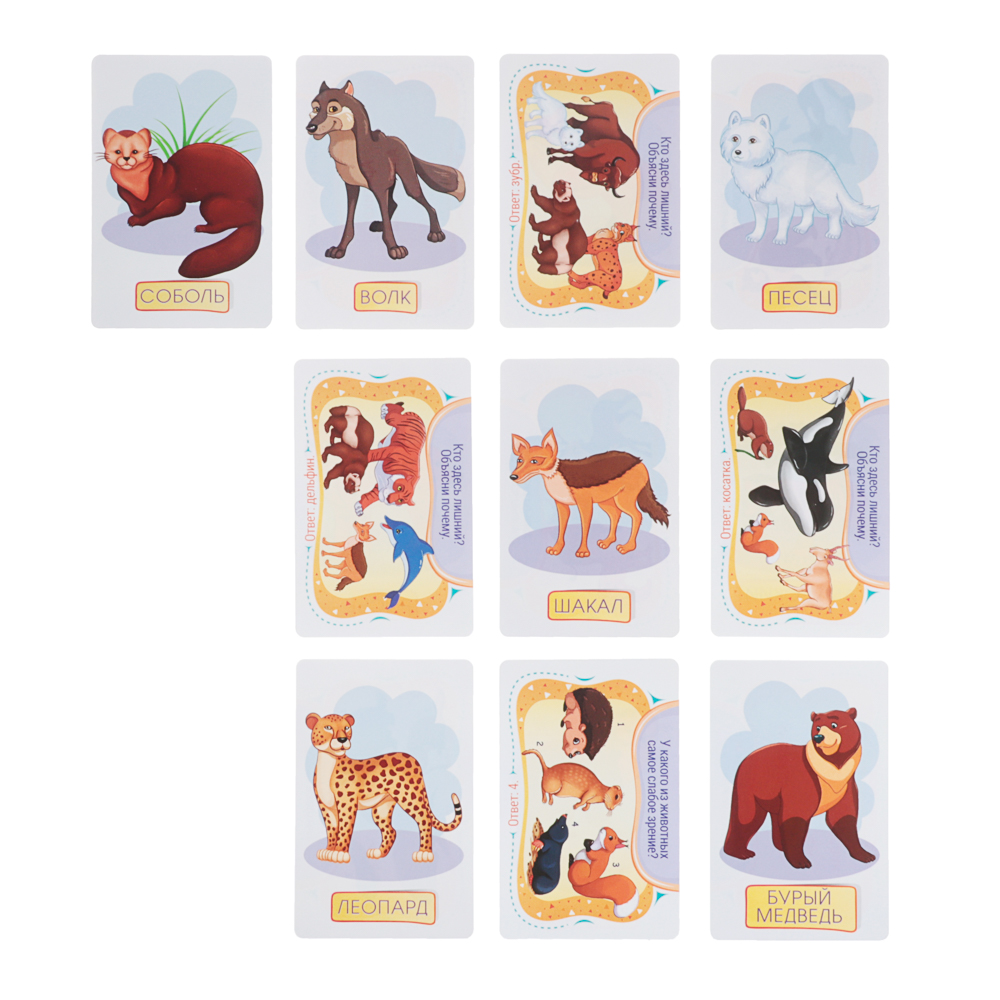 Игра развивающая настольная "Первые знания", 6,1х11,3х1,5 см, 4 дизайна - #10