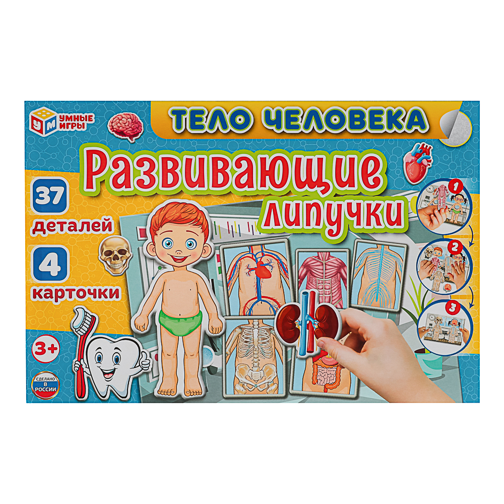 УМКА Развивающая игра "Липучки. Тело человека", в коробке, 28,5x19х3,5см - #4