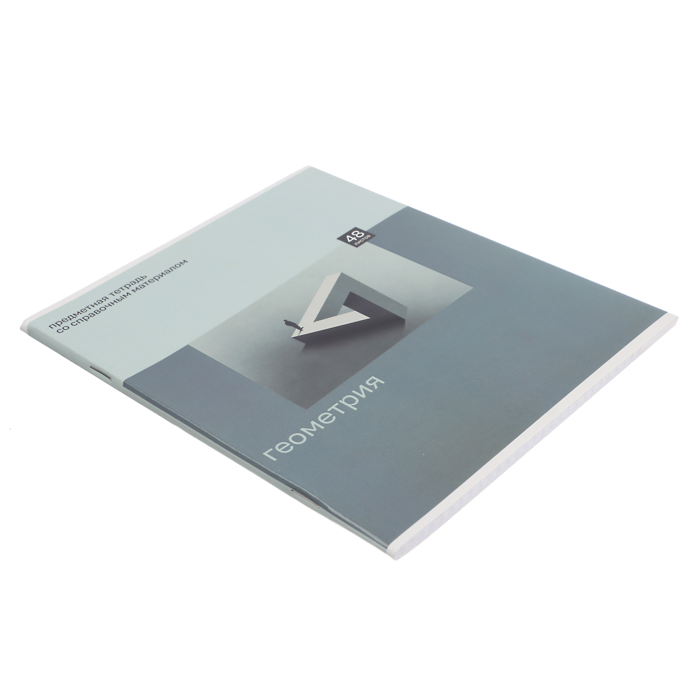 ClipStudio Тетрадь 48л. "Предметная", БЕЛЫЕ ЛИСТЫ, обл.картон "Монохром"скрепка, 7видов, справ.мат. - #13