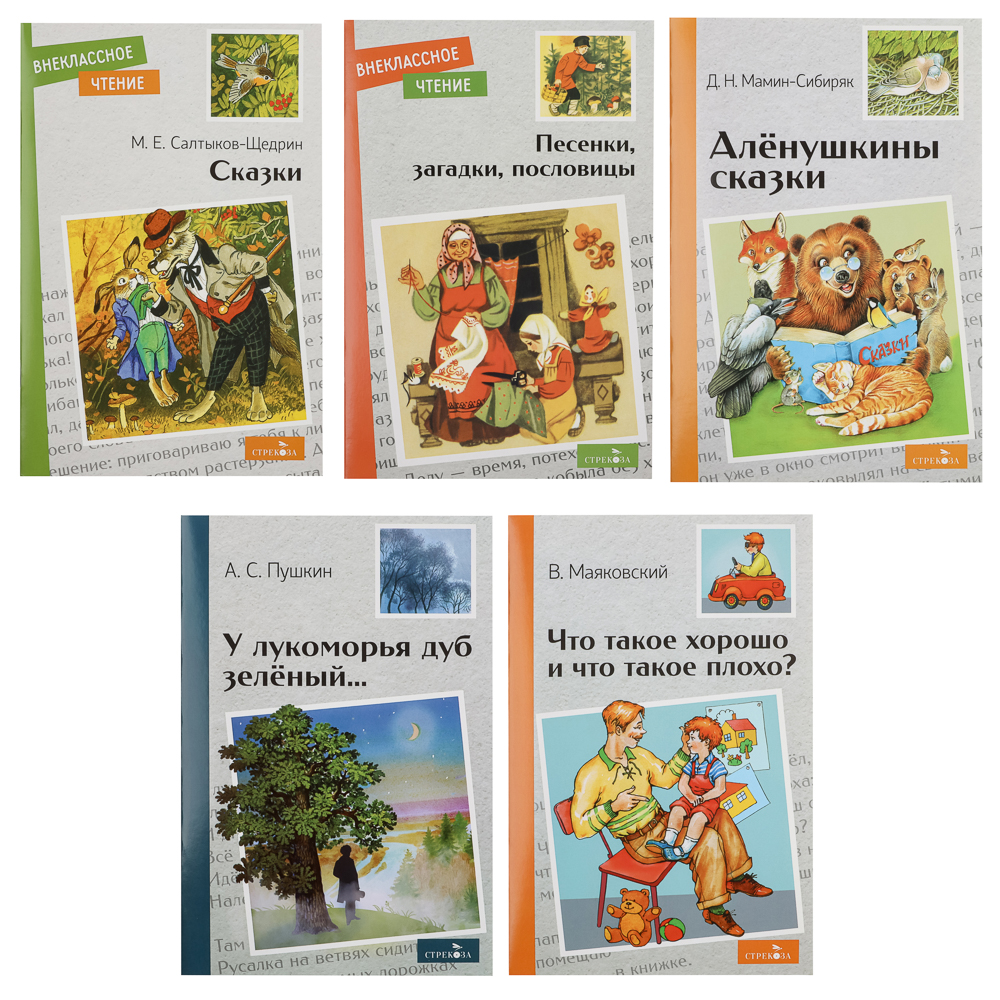 Книжка "Внеклассное чтение", мягкий переплет, 13,8х21см, 60-80 стр., 5 дизайнов - #1