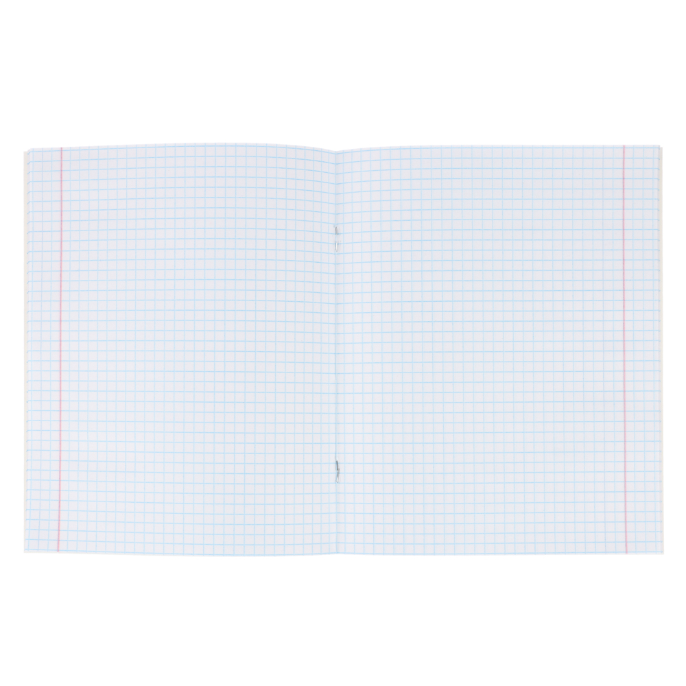 BY Русские Супергерои Тетрадь Тетрадь шк. 24л. "РСГ", в клетку, офсет, обл.пластик, скрепка, 4диз - #9