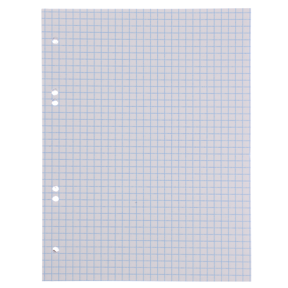 Сменный блок для тетрадей на кольцах А5, 80 листов в клетку, белый, 60 г/м2 - #1