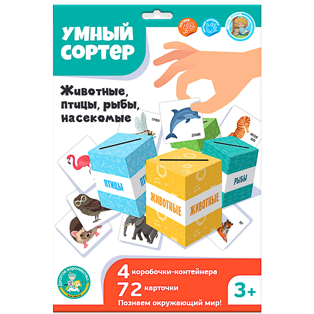 10 КОРОЛЕВСТВО Развивающая игра "Умный сортер", картон, 21,5х32х0,5см, 5 дизайнов - #19
