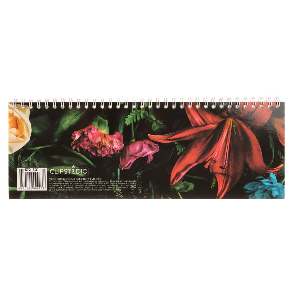 Планинг недатированный на гребне ClipStudio, размер 285х100, 52 листа - #7