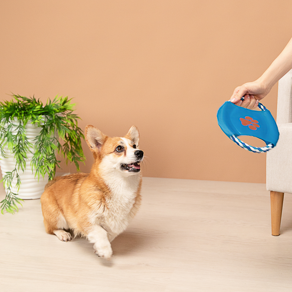 VETTA Игрушка для домашних животных, хлопок, полиэстер - #10