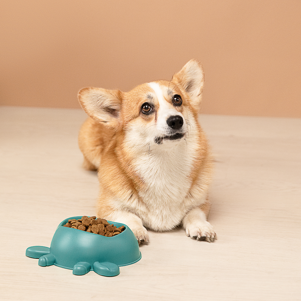 VETTA Миска для домашних животных, пластмасса, 20х16х7 см, 200 мл - #10