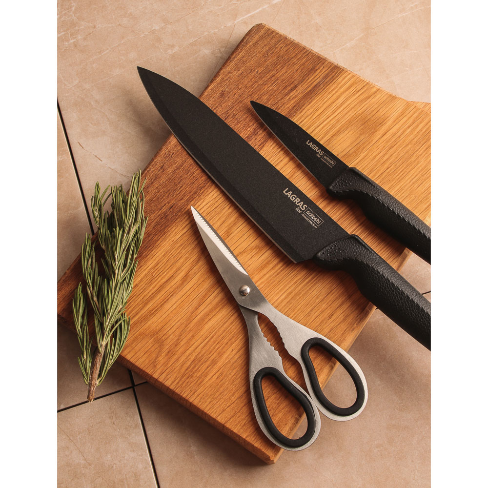 SATOSHI Лаграс Набор ножей кухонных 6пр, с магнитным держателем - #11