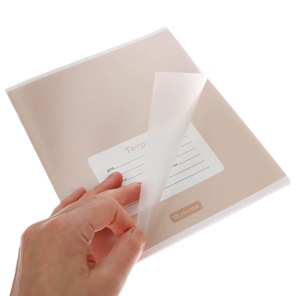 Тетрадь школьная 18л. в линейку ClipStudio, БЕЛЫЕ ЛИСТЫ, обл. пластик, скрепка - #20