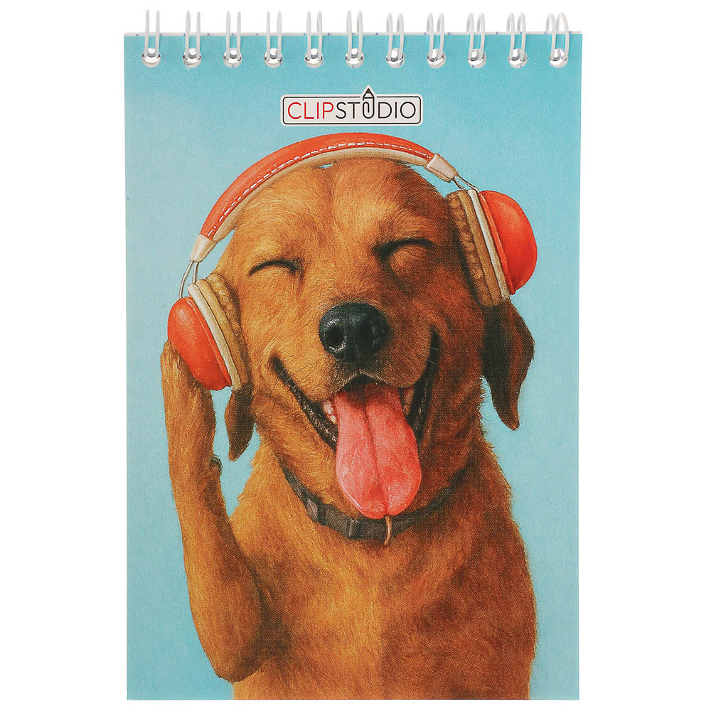 Блокнот А6, 40 листов, офсет, обложка картон, спираль, в клетку, 9 диз. - #17