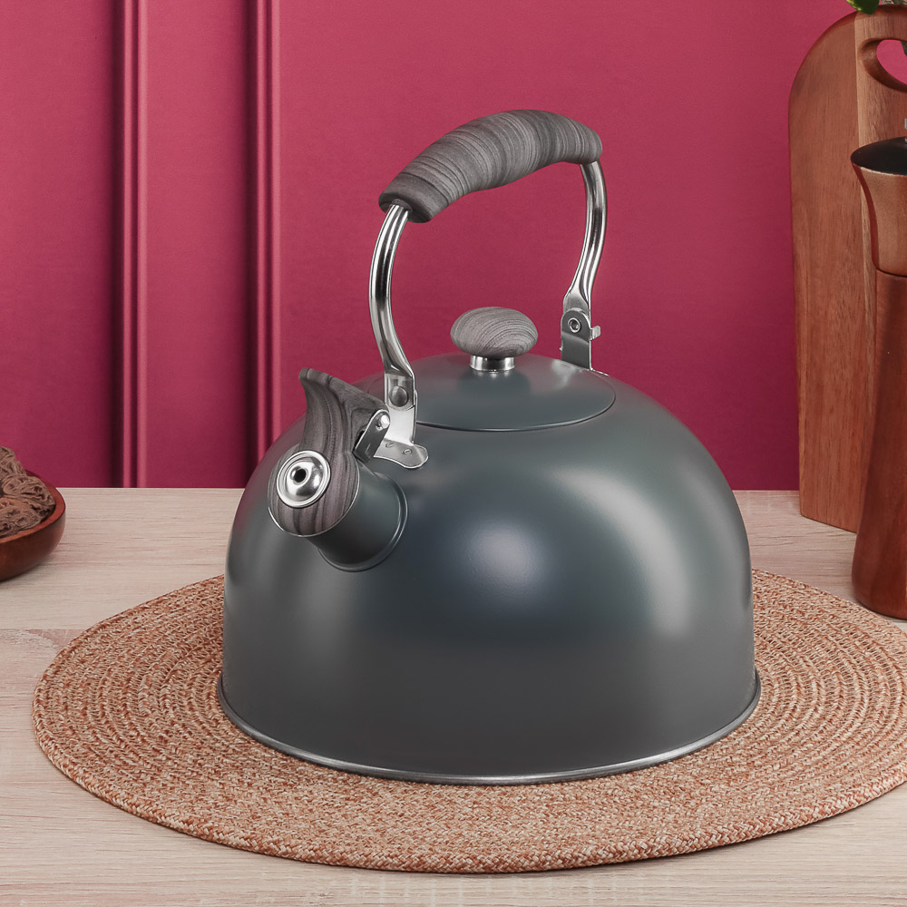 VETTA Чайник стальной 2,2л "Ливорно", индукция - #8