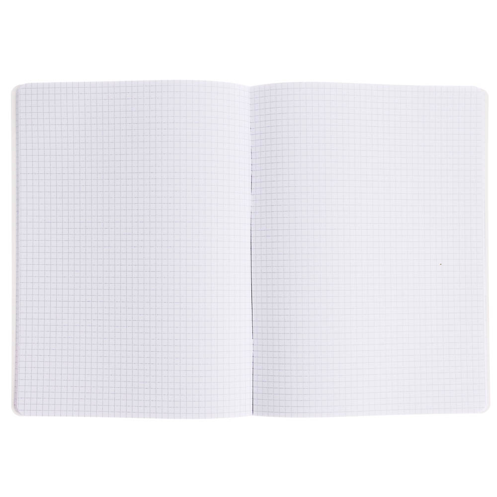 Тетрадь общая Русские Супергерои, формат А4, 48л. в клетку, на скобе, скругленные углы, в ассортим. - #4