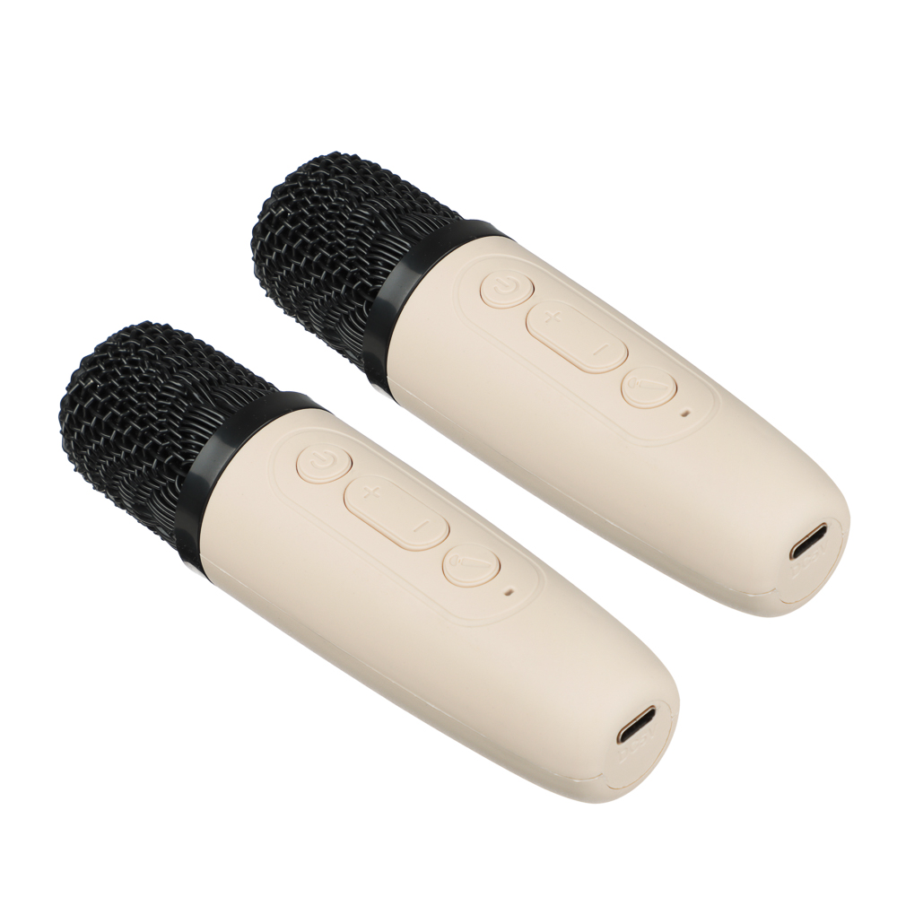 Колонка беспроводная BY Party караоке, 2 микрофона, 3Вт, 400мАч, BT5.3, USB, ВШГ 9x9x7см, белый - #11