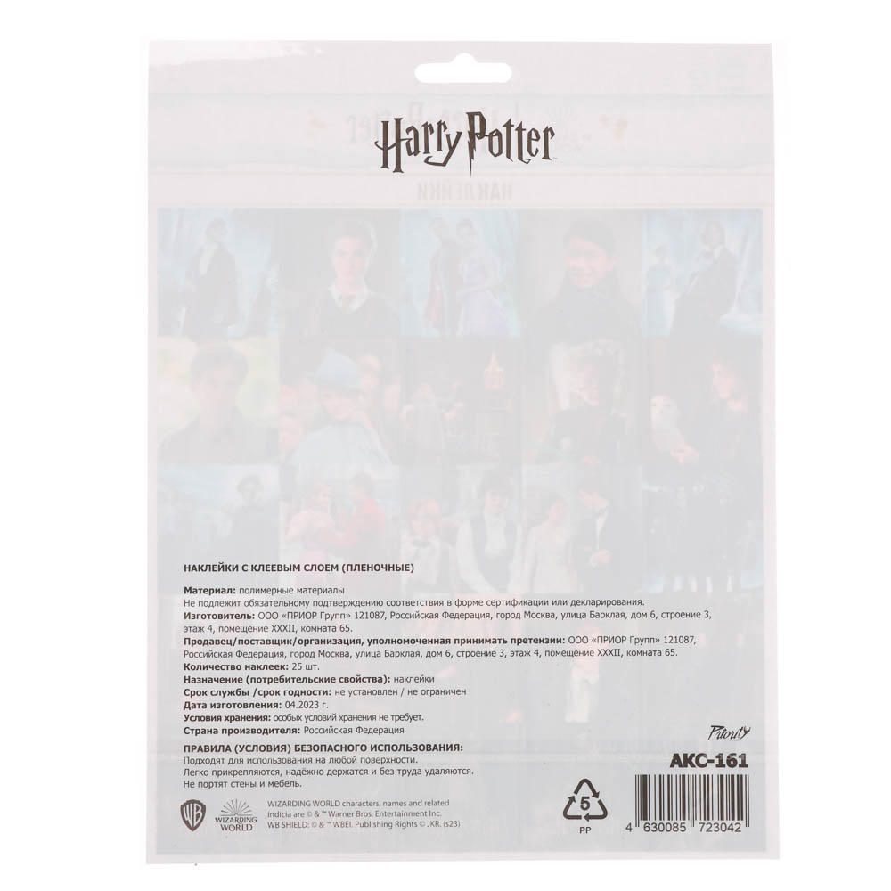 Наклейки пленочные большие 21х27,5см, в ассортименте - #22