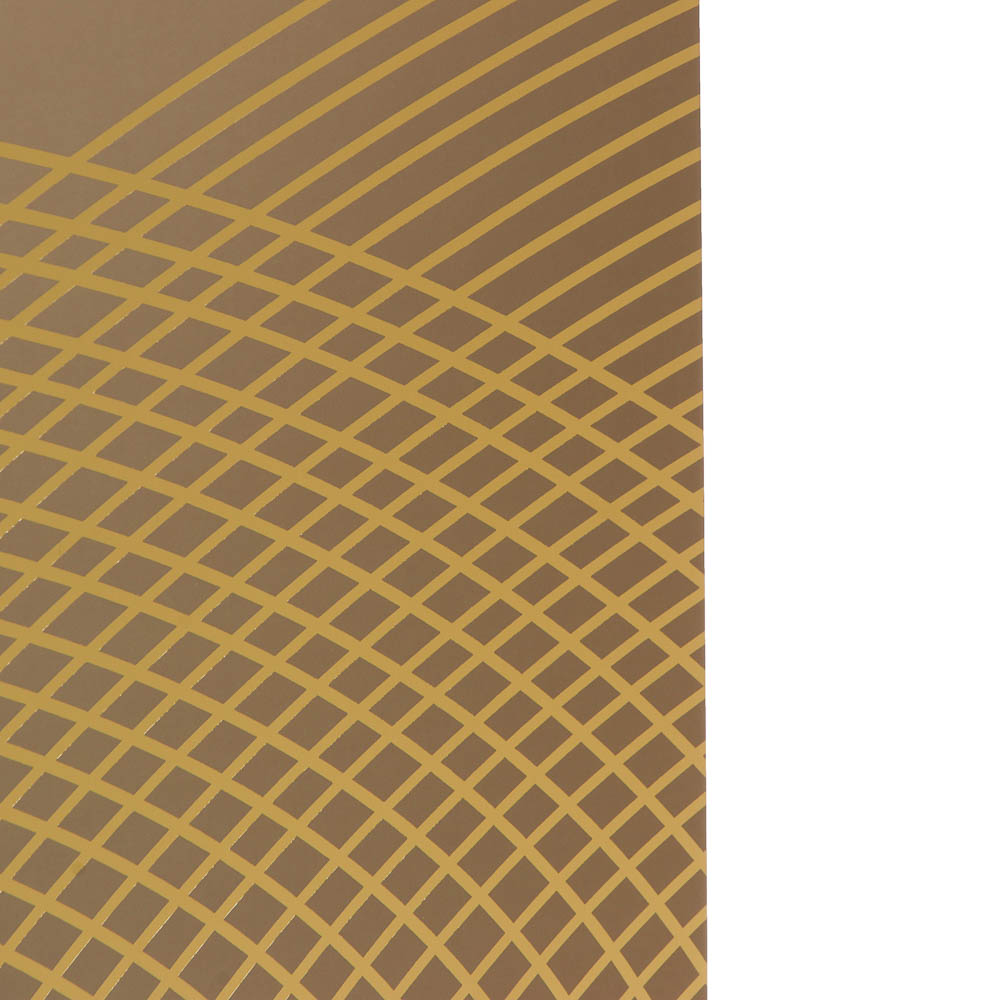 Пакет тм Fntastic подарочный, с шильдиком, XXL 40x30x12см, тиснение, бумага, арт.15, 3 дизайна - #4