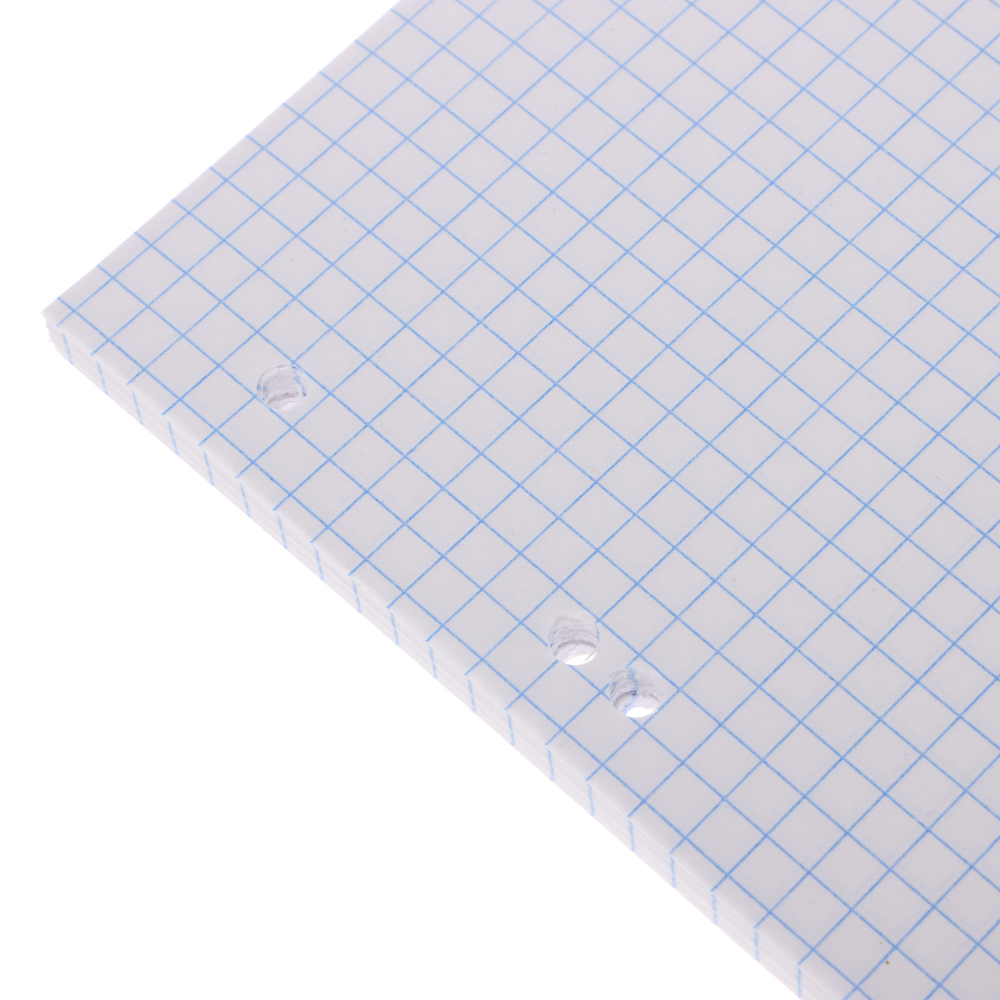 Сменный блок для тетрадей на кольцах А5, 80 листов в клетку, белый, 60 г/м2 - #3