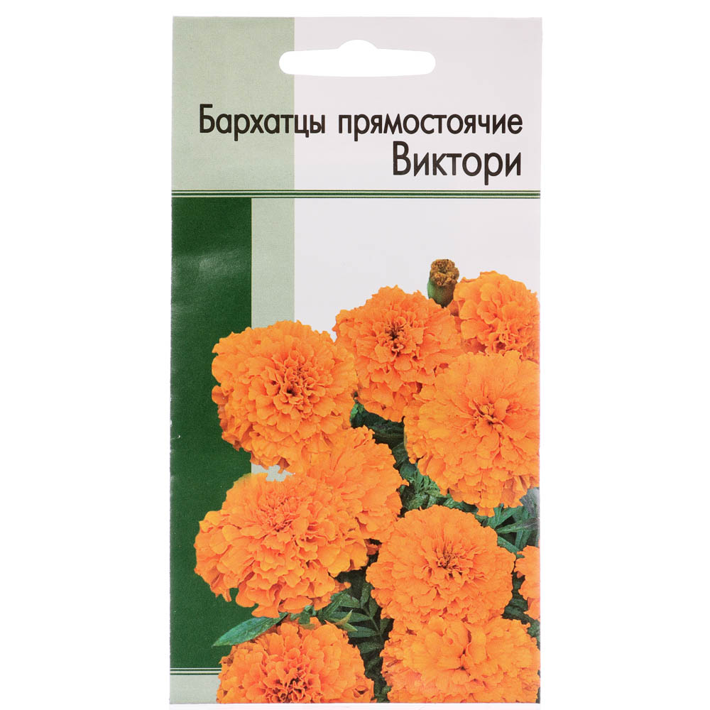 Семена Бархатцы прямостоячие Виктори (ярко-оранжевый) - #1