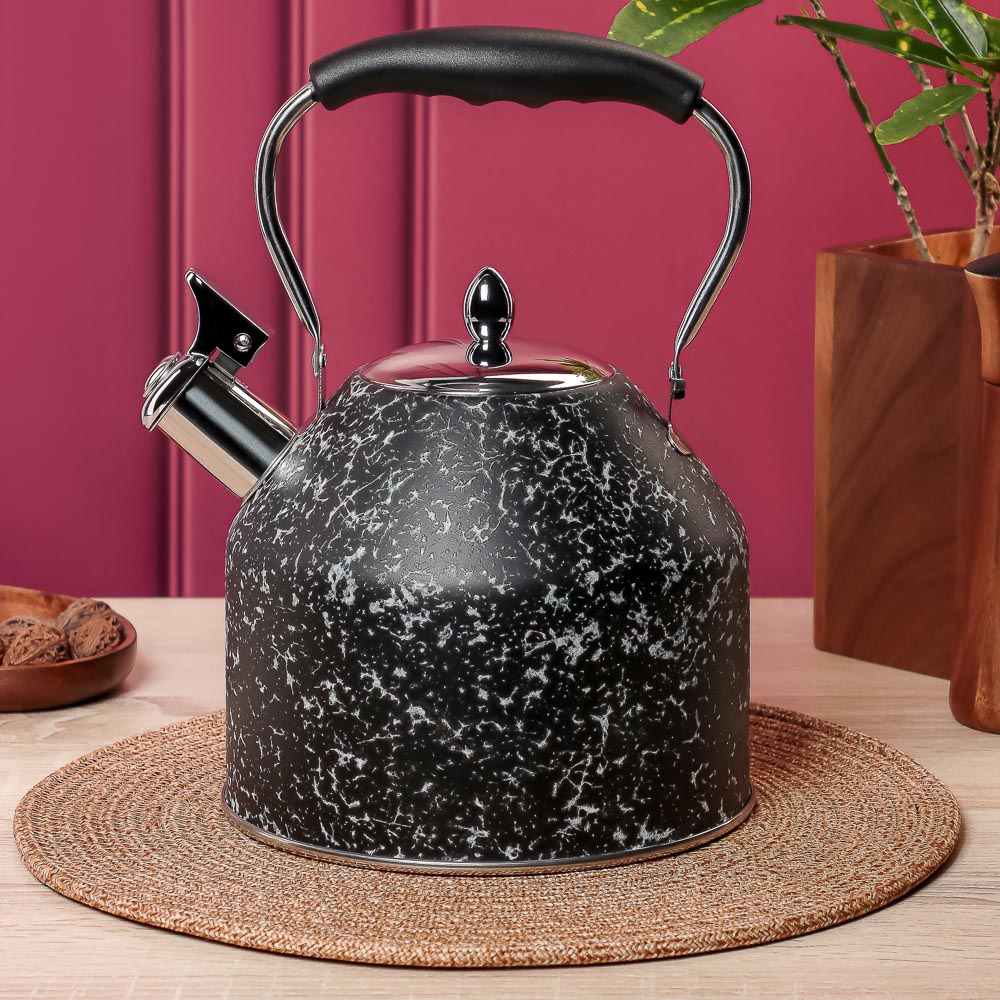 VETTA Чайник стальной 2,7л "Терра", индукция - #8