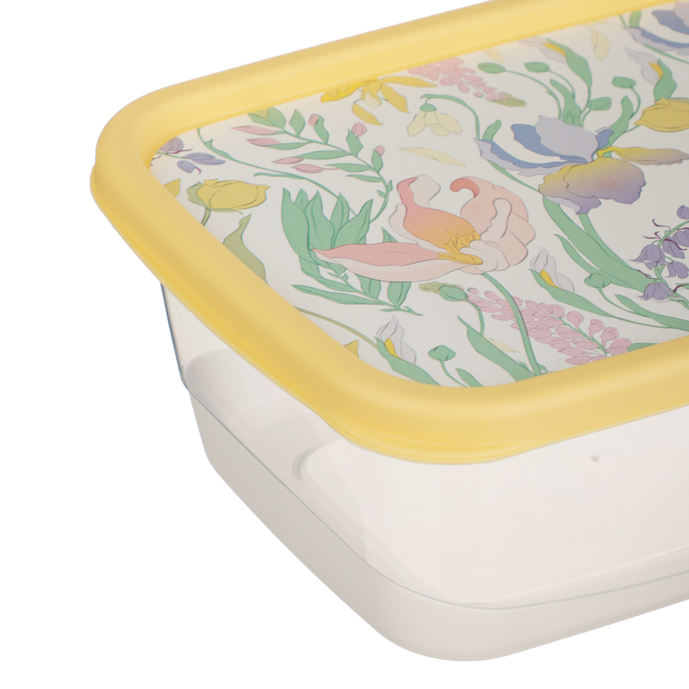 Ботаника Контейнер для продуктов прямоугольный 0,85л, пластик, 3 цвета - #3