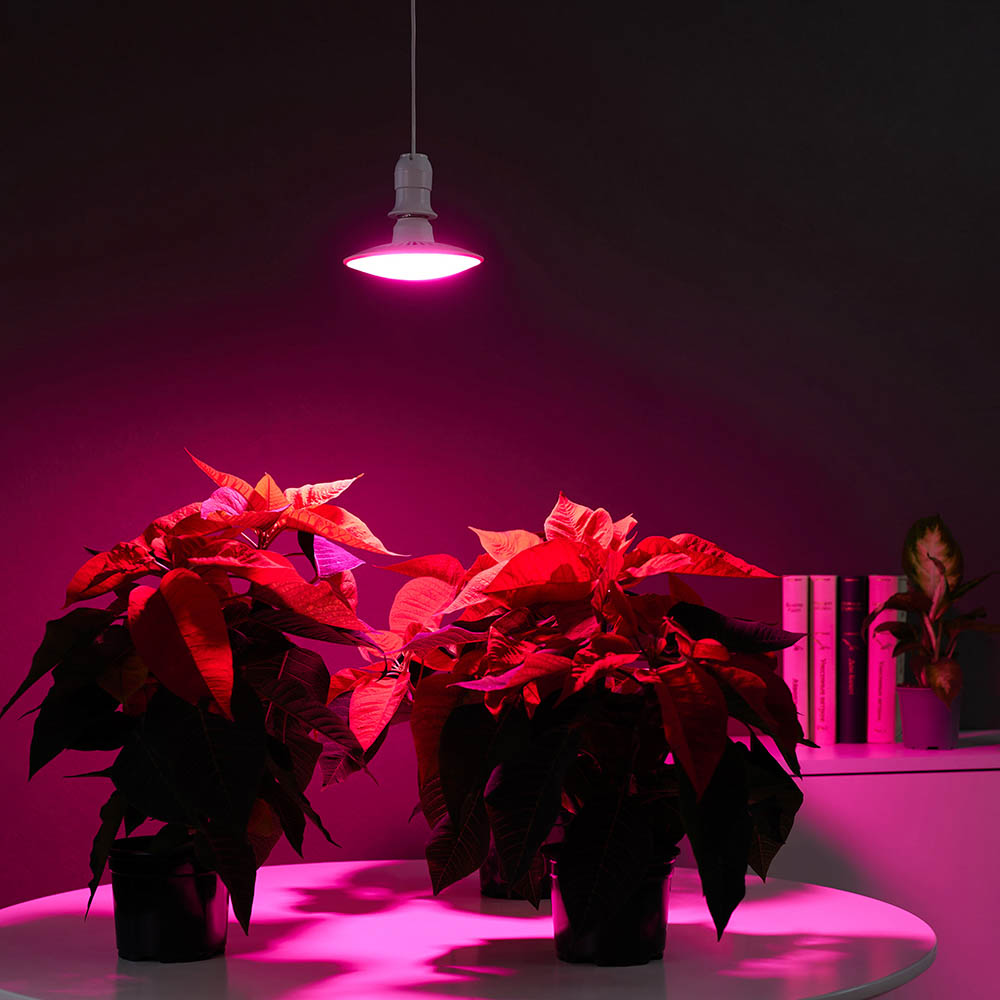 INBLOOM Лампа светодиодная для растений 72LED фиолетовый, 13x8см, E27, 15Вт, 220В, пластик - #7
