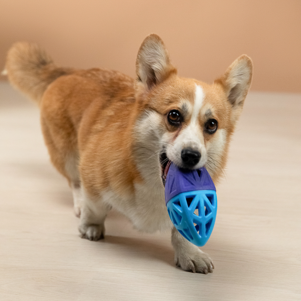 VETTA Игрушка для домашних животных, ТПР, 15х7 см - #11