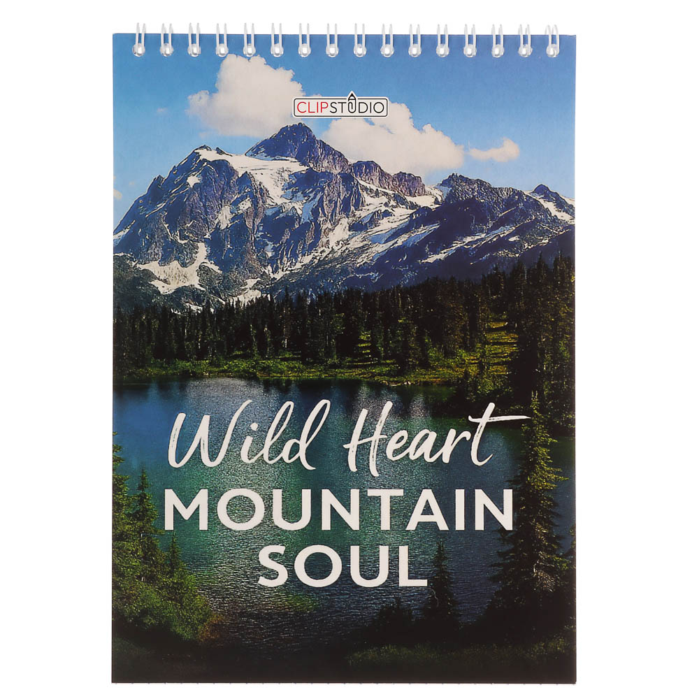 Блокнот А5, 40 листов, офсет, обложка картон, спираль, в клетку, 4 диз. - #2