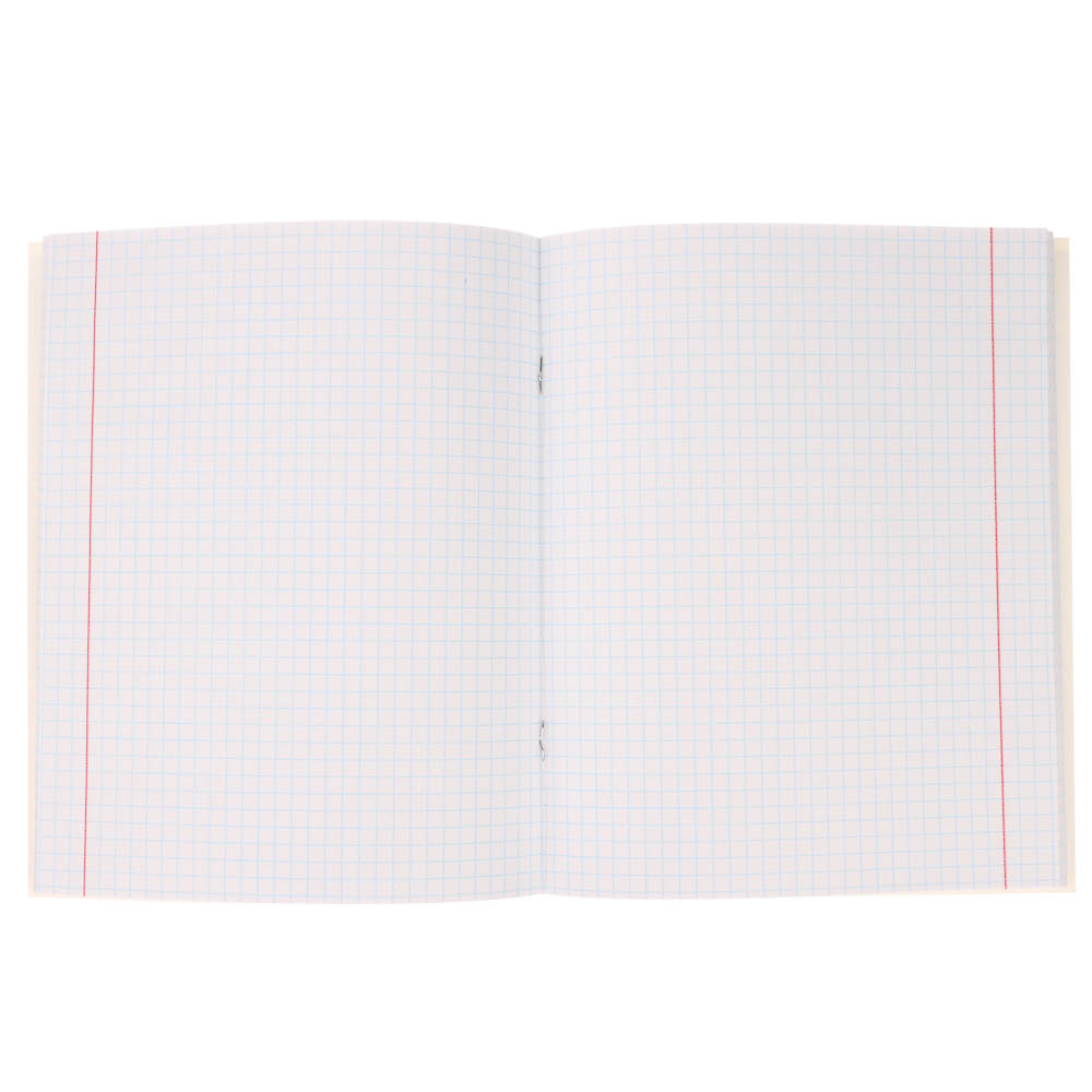 Тетрадь 48л. в клетку, офсет, обл. мел.картон, скрепка, твин лак, микс - #5