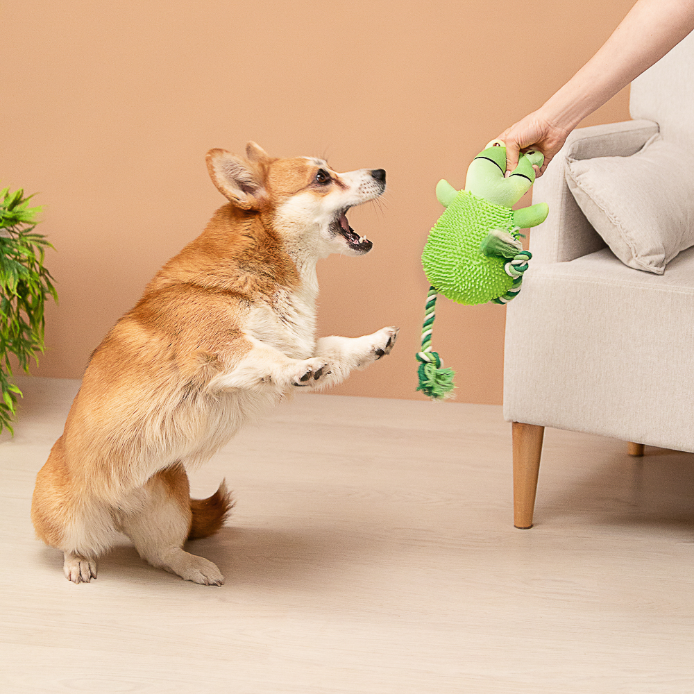 VETTA Игрушка для домашних животных, ПЭ, 21,5х11 см, лягушка - #12