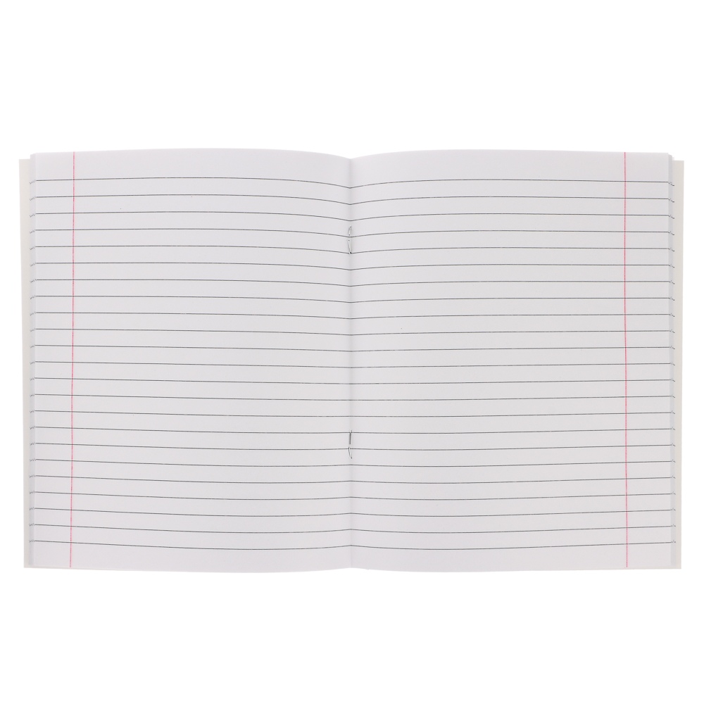 ClipStudio Тетрадь 48л. "Предметная", БЕЛЫЕ ЛИСТЫ, обл.картон, скрепка, 7 видов, справ.мат-л - #4