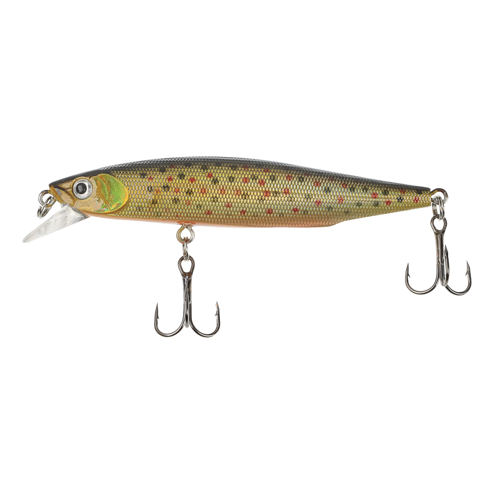 Воблер "Дэнсер Флэт Минноу" тм AZOR FISHING, F, 8,7гр, 100мм, 0,5-1,5м, 5 цветов - #10