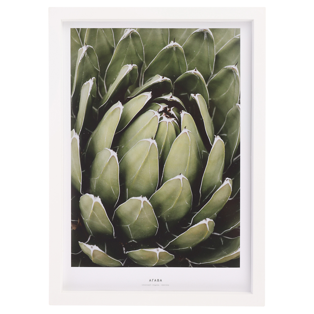 Постер 21x30 см, пластик, в ассортименте - #12