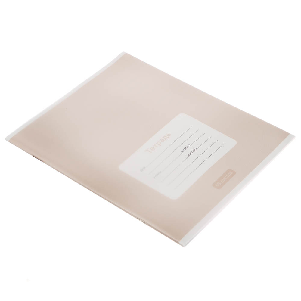 Тетрадь школьная 18л. в линейку ClipStudio, БЕЛЫЕ ЛИСТЫ, обл. пластик, скрепка - #21