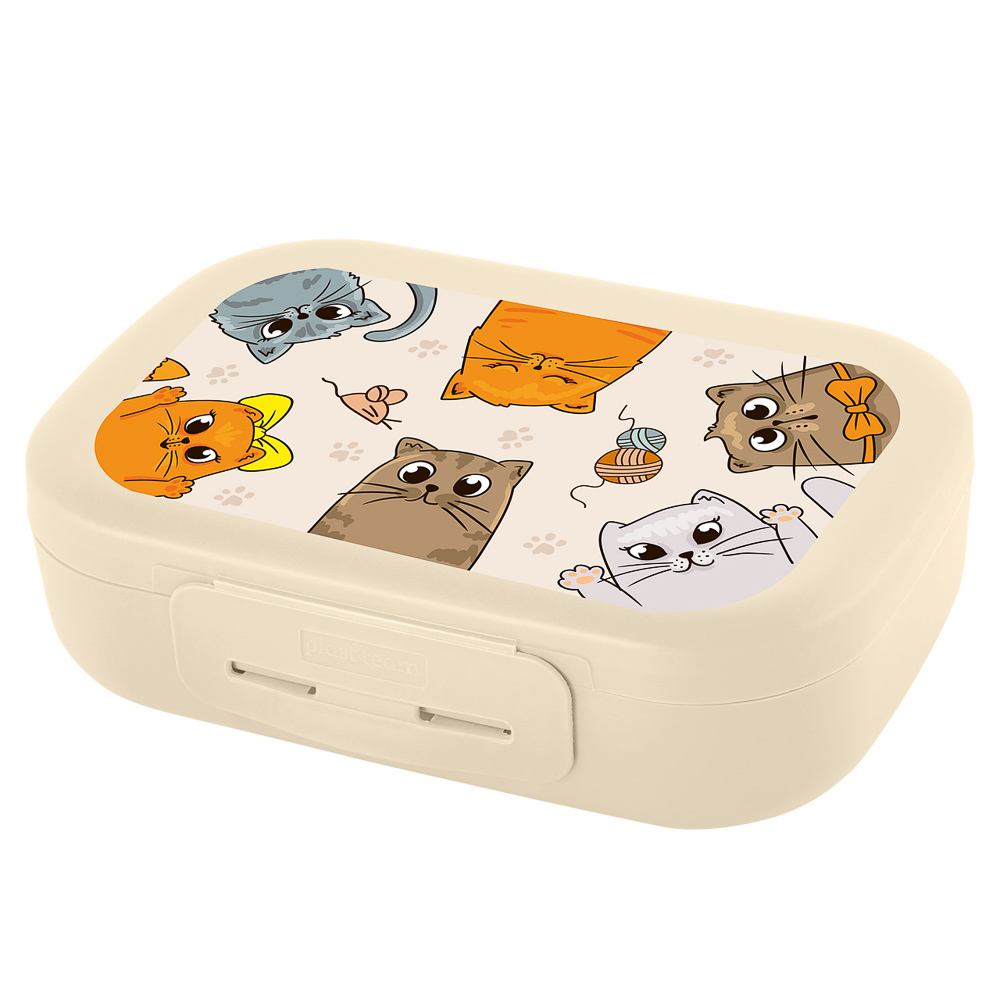 Ланч-бокс 0,8л (17,9х12,8х5,2см), пластик, в ассортименте - #3