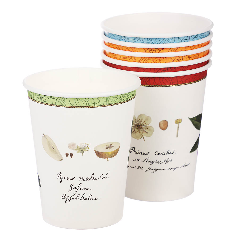 Набор бумажных одноразовых стаканов 6 шт, 250 мл, диз. 1 - #1