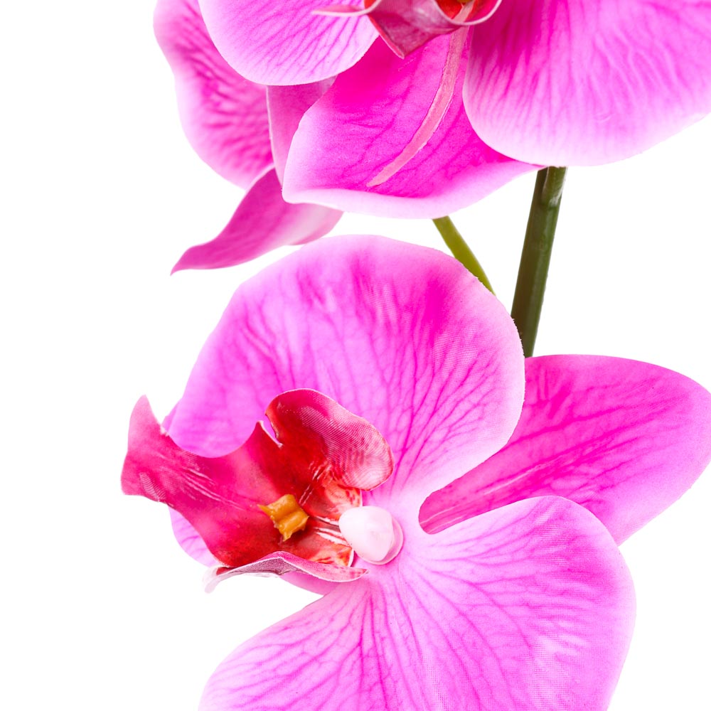 Цветочная композиция Ladecor "Орхидеи", в декоративном горшке - #3