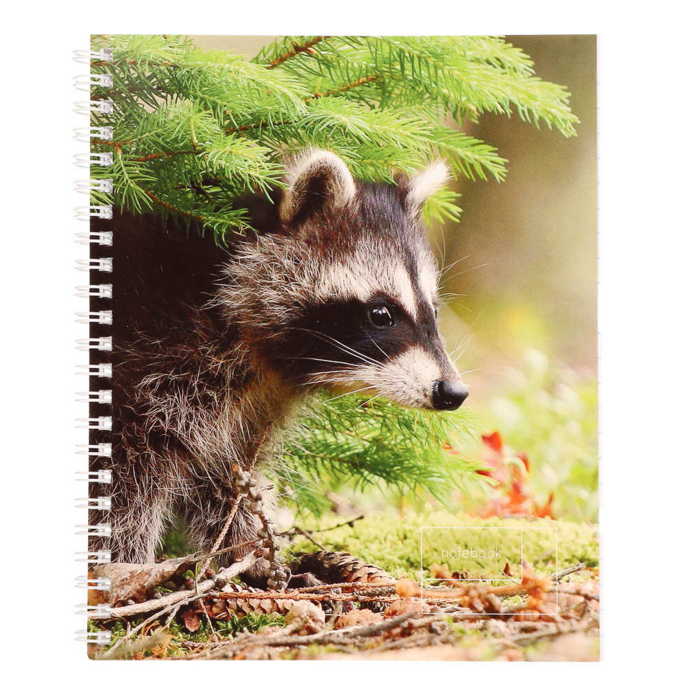 Тетрадь общая на спирали 80л. в клетку, обл.мел. картон, БЕЛЫЕ ЛИСТЫ, микс - #12