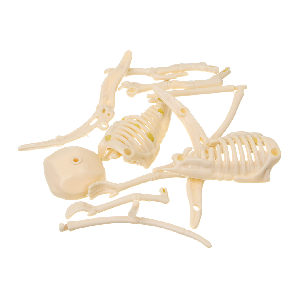 Набор для творчества 2в1 раскраска и раскопки "Динозавры", 39,5х26х7,5см, гипс, PP, 2 диз. - #9