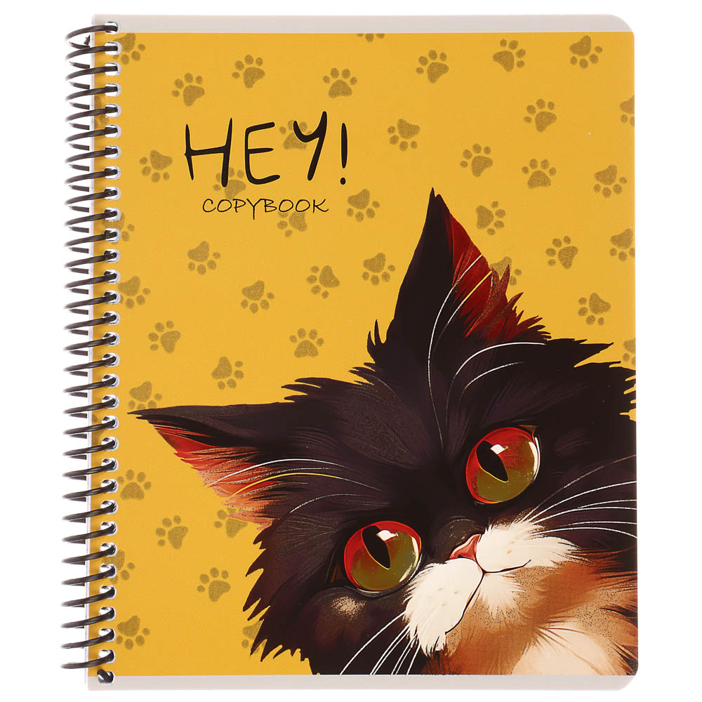 Тетрадь общая, 96 листов, в клетку, БЕЛЫЕ ЛИСТЫ, обл.мел. картон, спираль, микс - #13