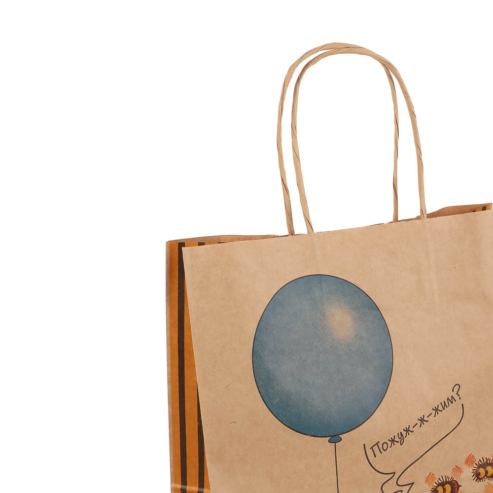 Пакет подарочный с кручеными ручками 24х14х30см, "Винни-Пух. Пожуж-ж-жим", в ассортименте - #9