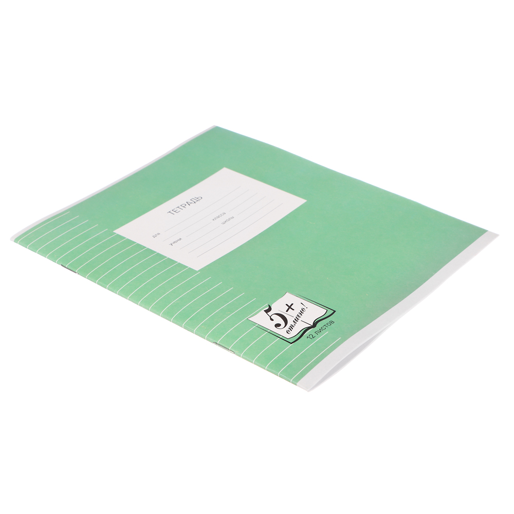 Тетрадь школьная 12л. в линейку, БЕЛЫЕ ЛИСТЫ обложка плотный офсет 115 гр "Пятерка" - #2