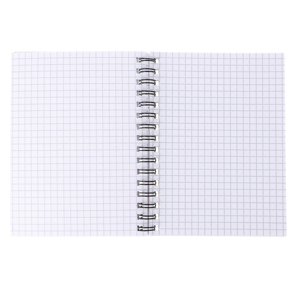 Блокнот Русские Супергерои, 105х140 мм, 80л, клетка, мягкий переплет, спираль, в ассортим. - #5