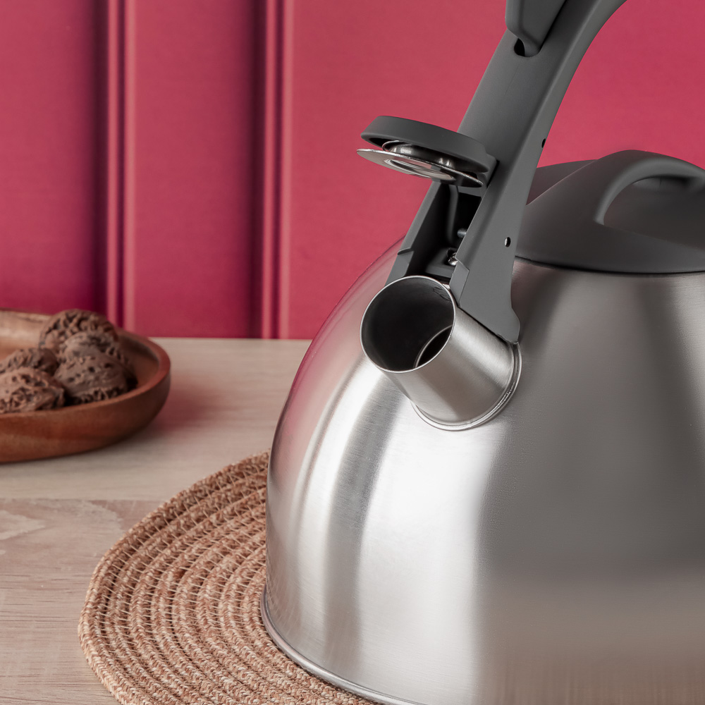 VETTA Чайник стальной 2,6л "Вена", индукция - #10