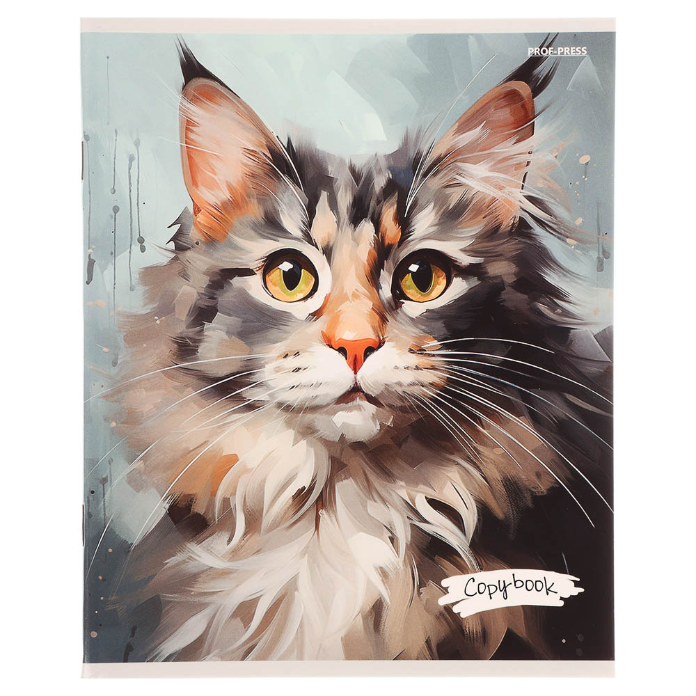 Тетрадь 48л. в клетку, офсет, обл. мел.картон, скрепка, твин лак, микс - #13