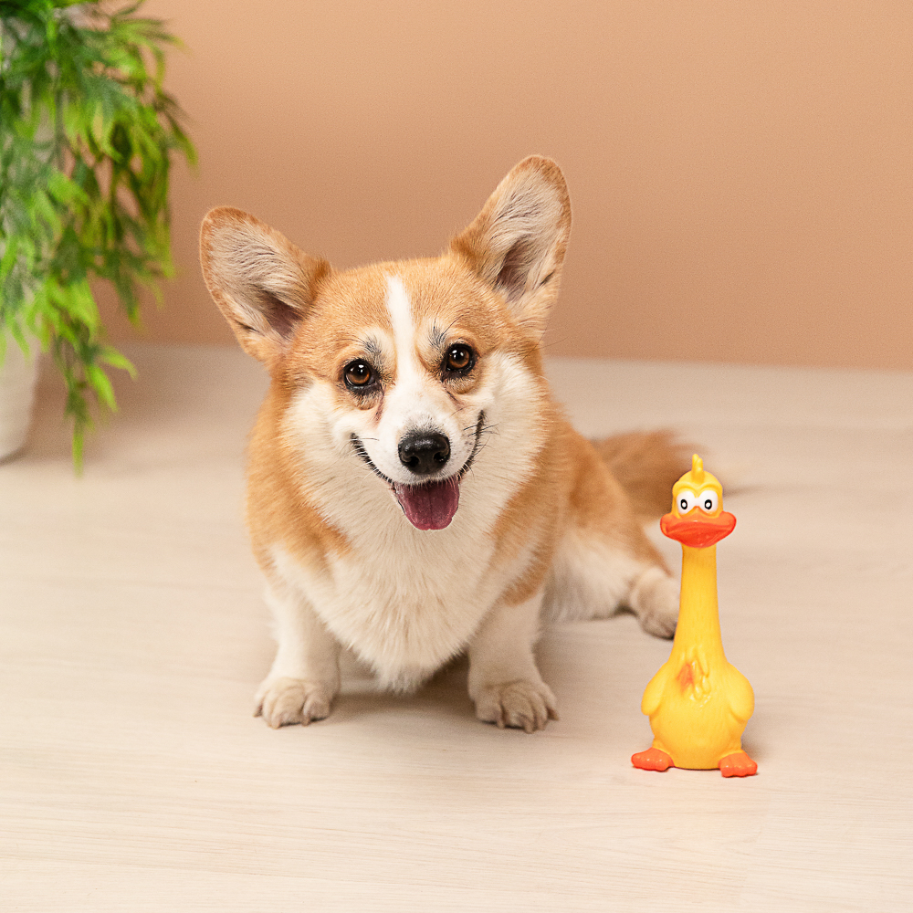 Игрушка для домашних животных тм VETTA, ПВХ, 7,5х17 см, утка - #12
