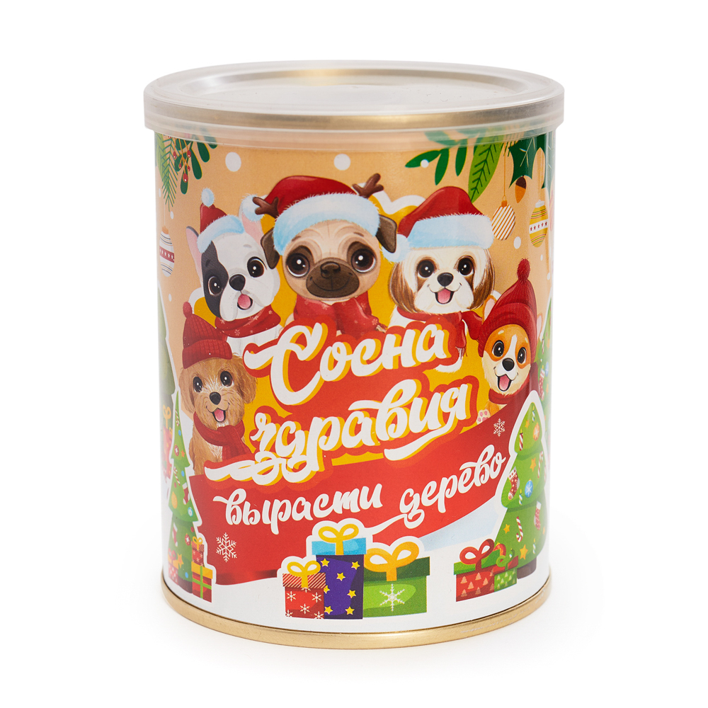 Набор для выращивания "Хвойные", ж/б банка 4 вида - #5