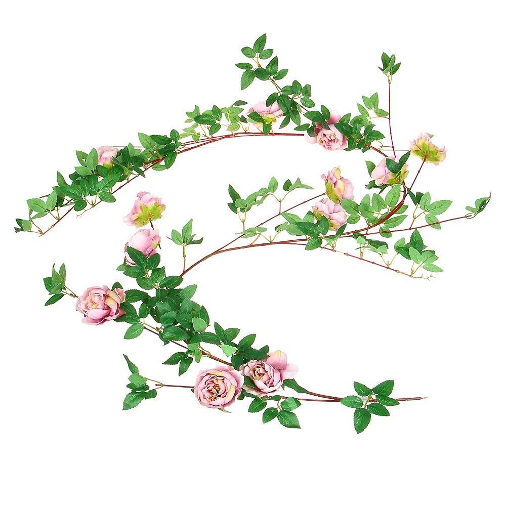 Растение декоративное, лиана с цветами - #7