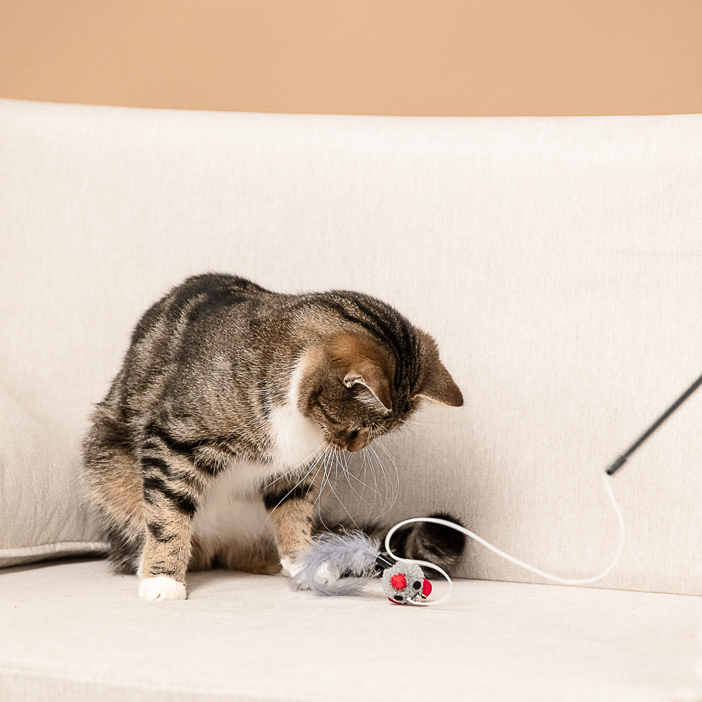 VETTA Игрушка - дразнилка, для домашних животных, полипропилен, полиэстер, АБС-пластик,  35 см - #11