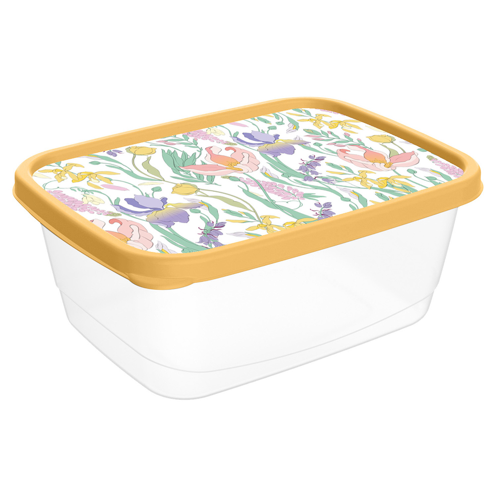 Ботаника Контейнер для продуктов прямоугольный 0,5л, пластик, 3 цвета - #2