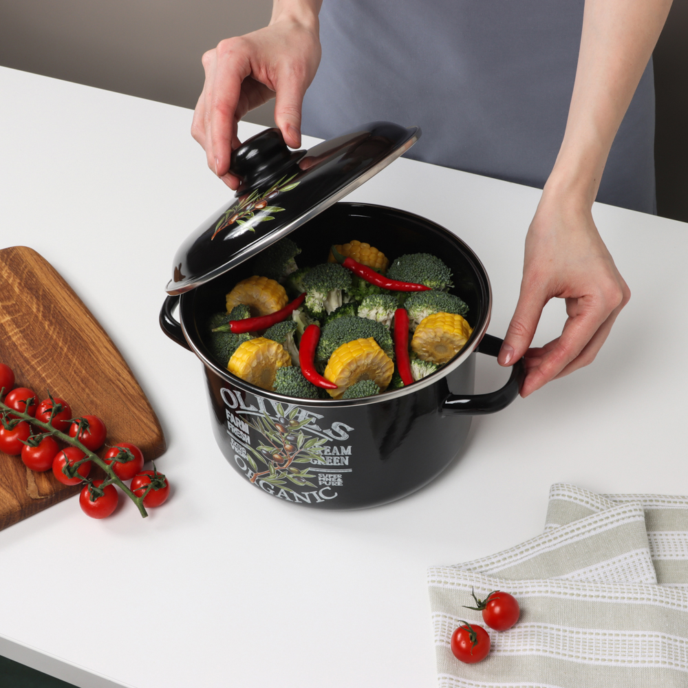 Ветка оливы Кастрюля эмалированная 4л - #7